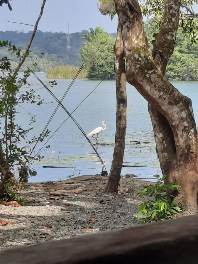 Готель Casa Manati Лівінґстон Екстер'єр фото